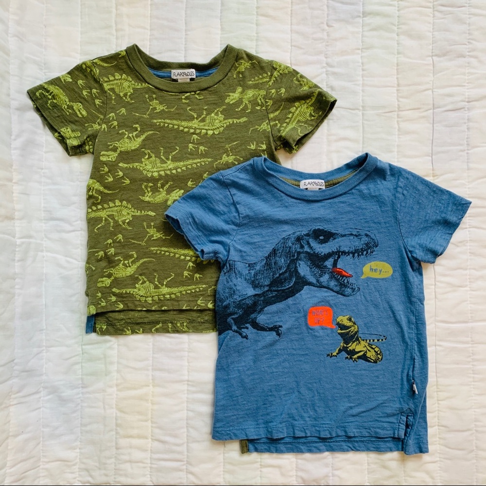 Flapdoodles McGuire 2pk Short Sleeve Tees 3T